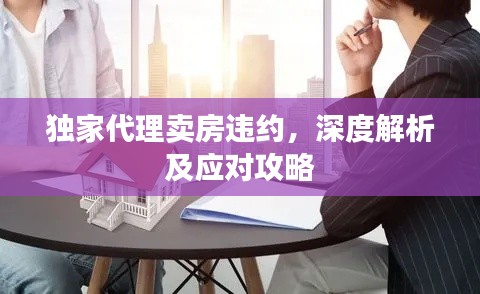 独家代理卖房违约，深度解析及应对攻略
