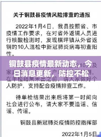 铜鼓县疫情最新动态，今日消息更新，防控不松懈