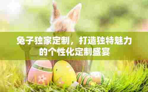 兔子独家定制,打造独特魅力的个性化定制盛宴