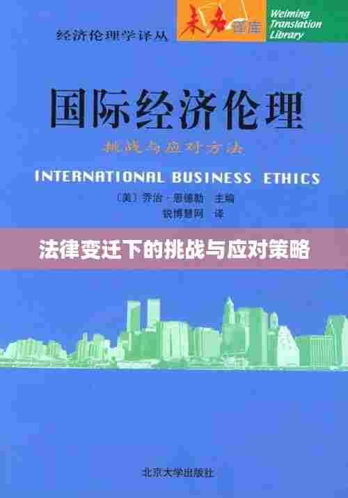 法律变迁下的挑战与应对策略