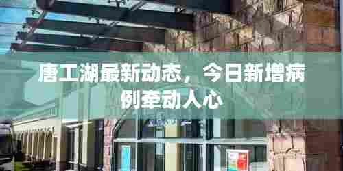 唐工湖最新动态，今日新增病例牵动人心