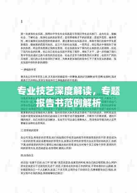 专业技艺深度解读，专题报告书范例解析