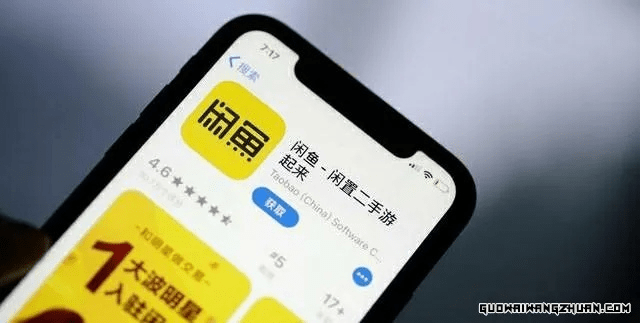 闲鱼历史版本下载，功能详解与规划入门版 v5.780