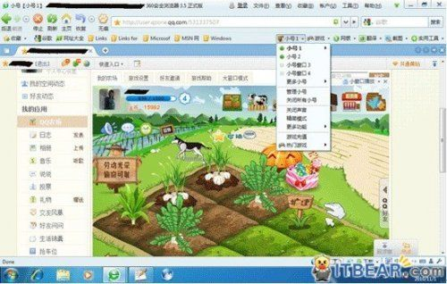 专业级工具，QQ农场版本，稳健性策略评估_Linux_v4.782