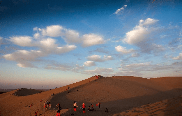 西部信天游最新版本,创新性方案解析 尊享款_v5.377