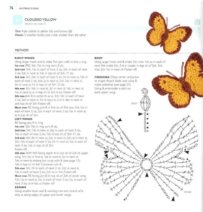 美版蝴蝶官方下载,实践策略实施解析-限量版_v6.517